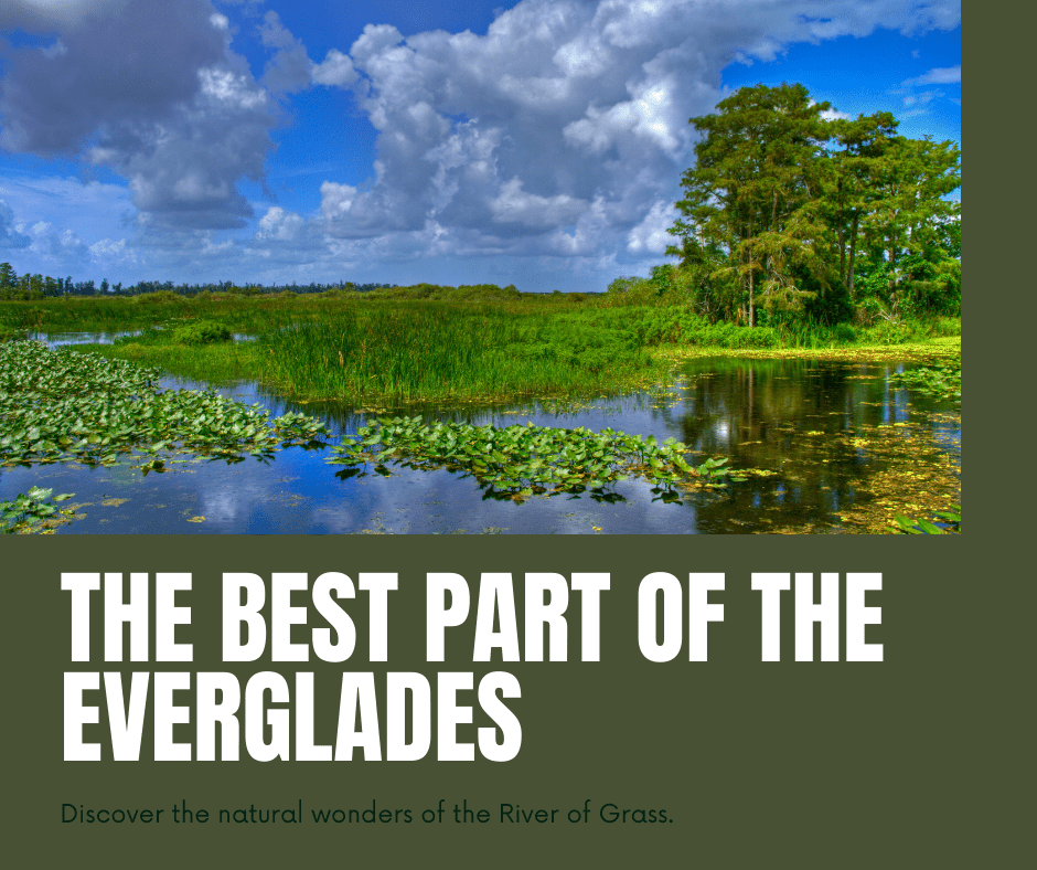 the Best Part of the Everglades?
