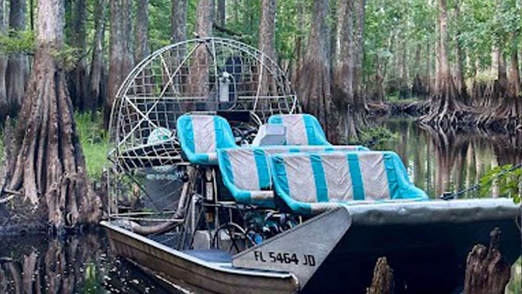 Florida Wetlands