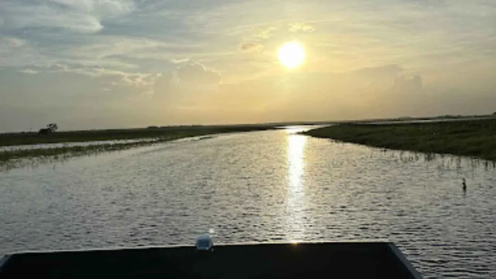 Day vs. Night Airboat Rides:
